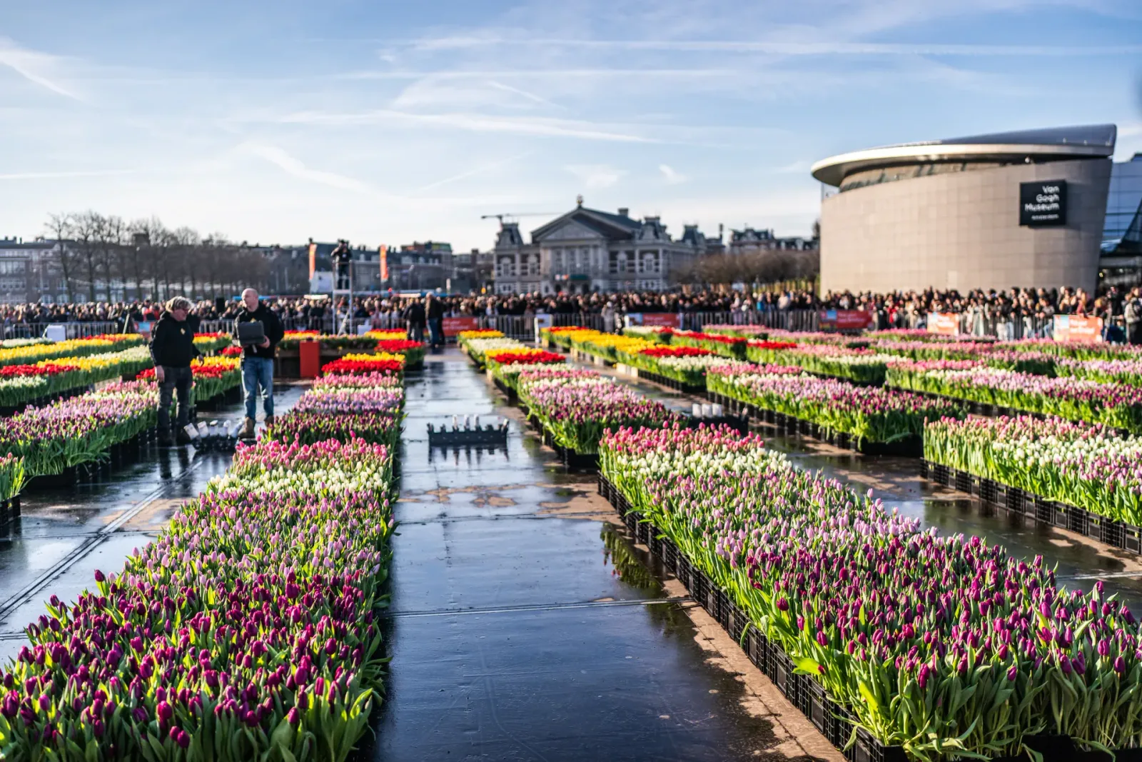 Il mercato dei tulipani sul Museumplein, con dietro il Museo Van Gogh