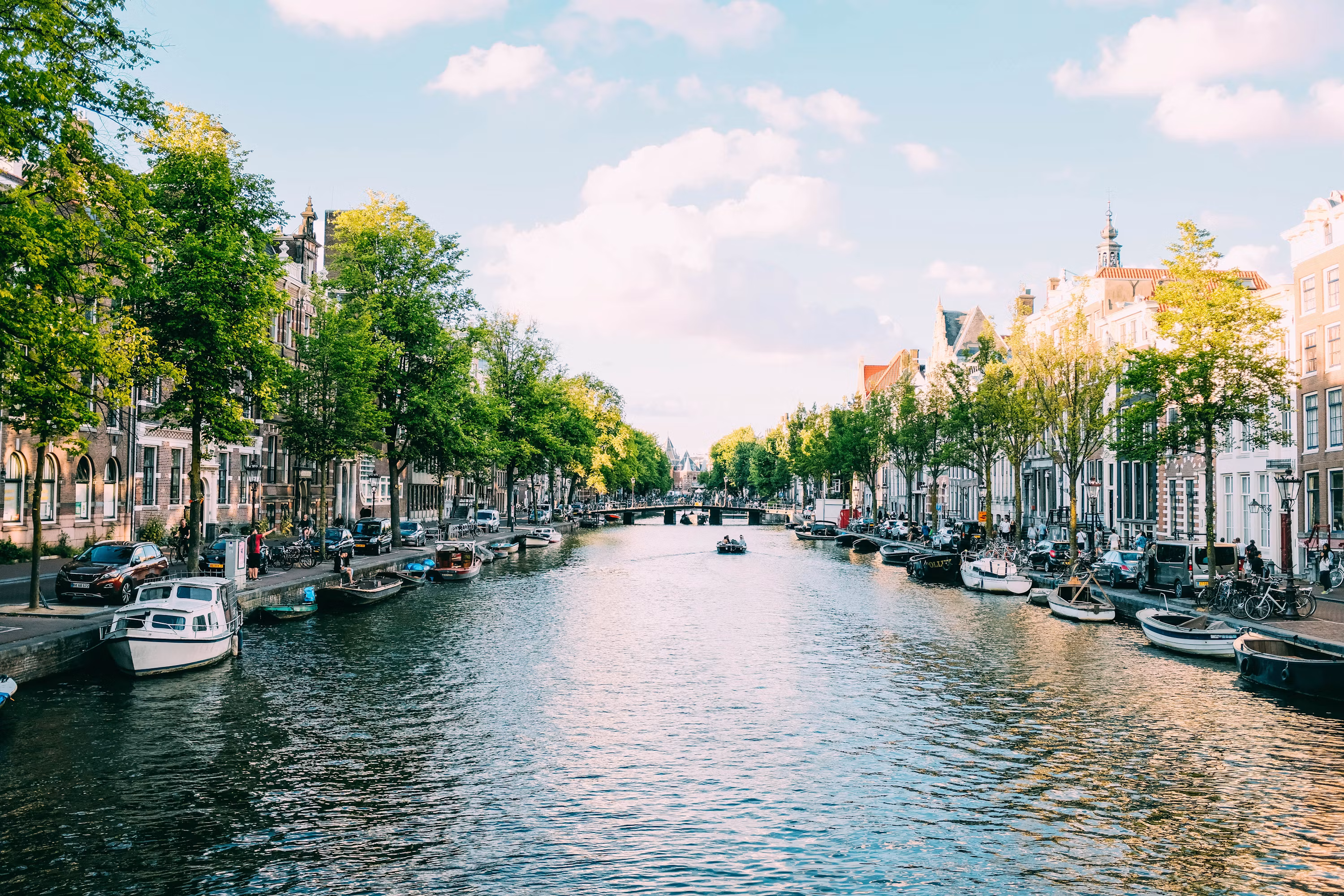 A canal in the ring, lined with houseboats and elm trees